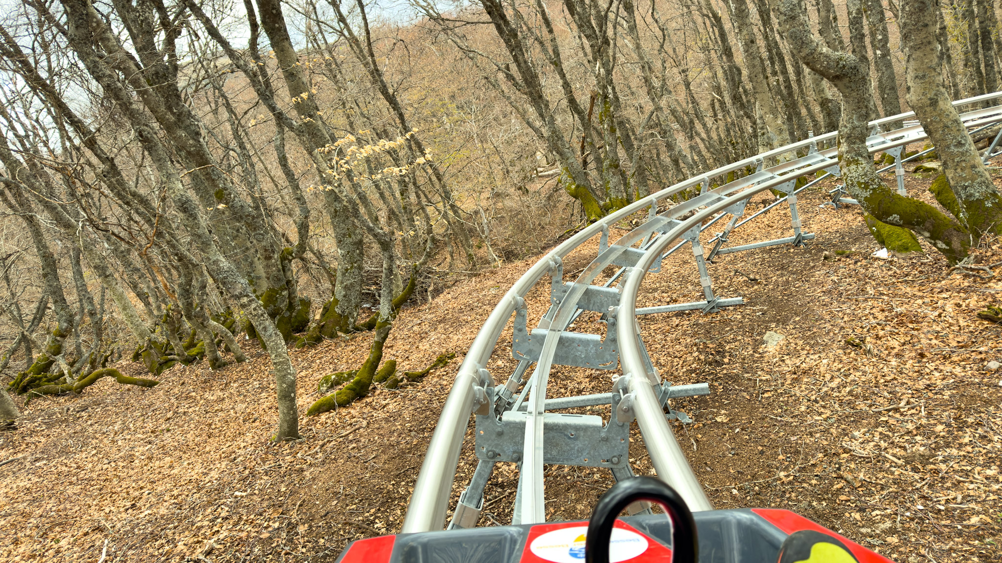 Super Coaster Super Besse sous les bois