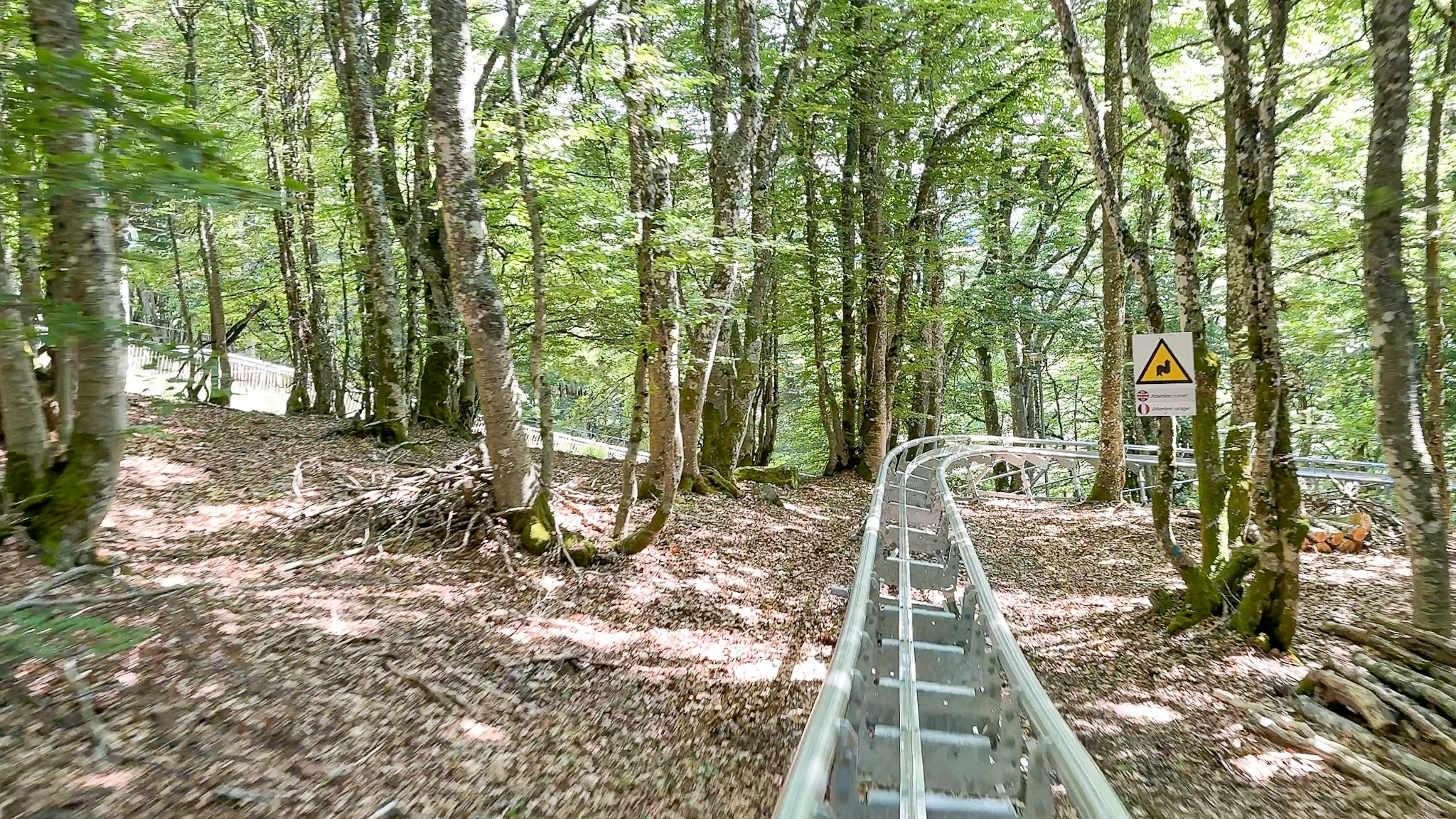 Super Coaster Super Besse - sous les arbres