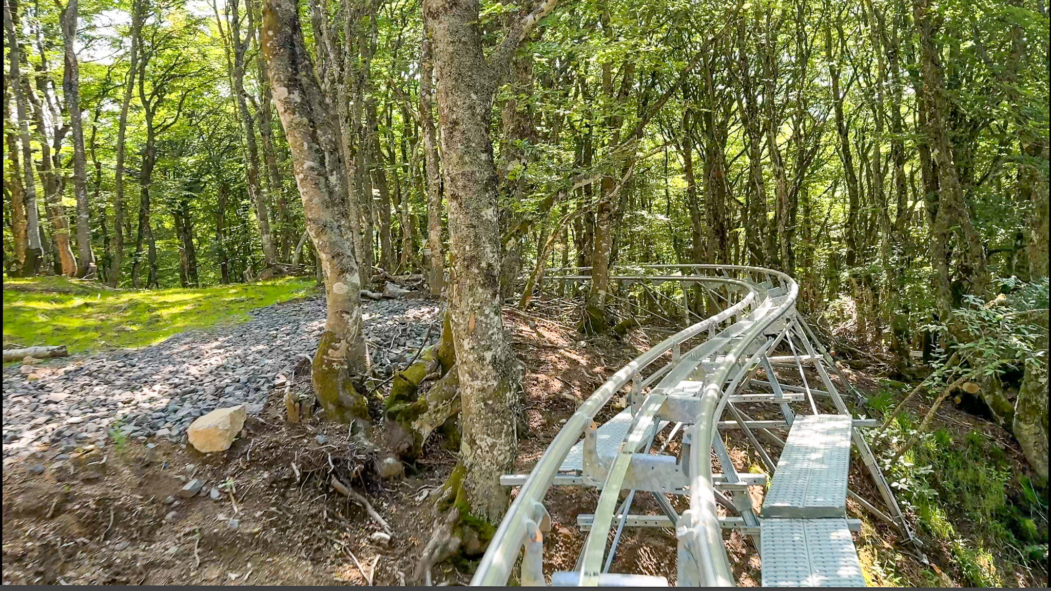 Super Coaster Super Besse - in the woods