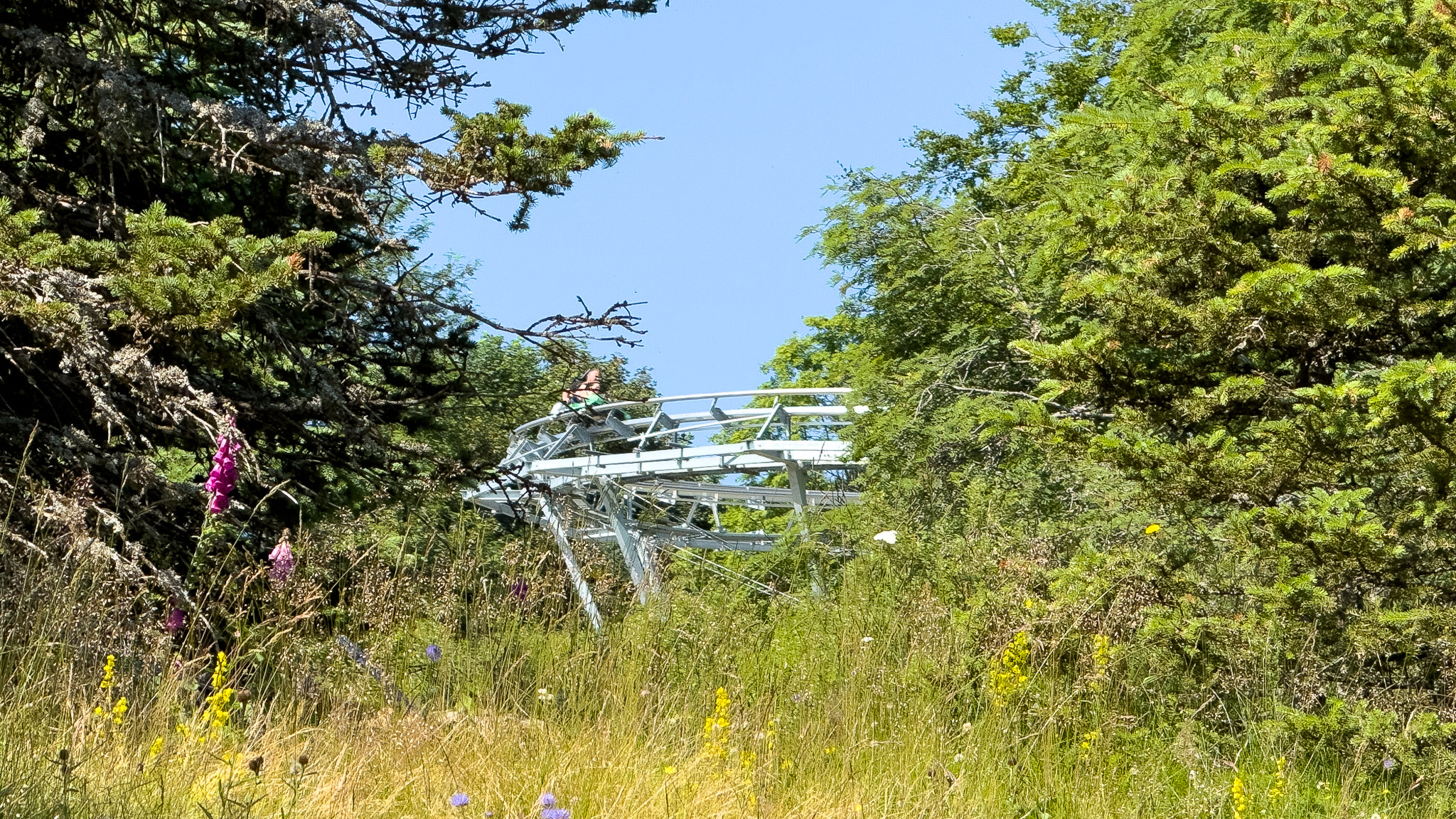 Super Coaster Super Besse - Descente en duo