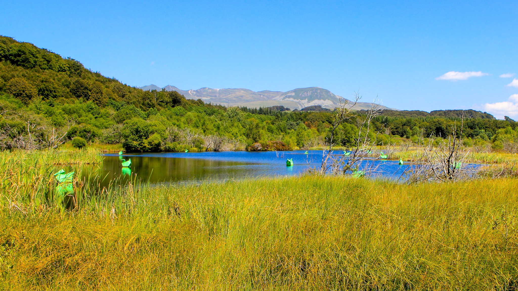 Lac de Gayme à Picherande