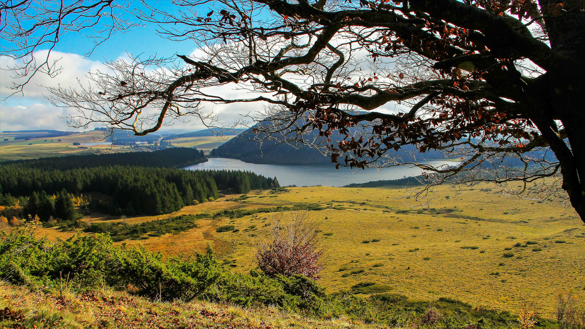  Lac de Montcineyre dans le Massif du Sancy