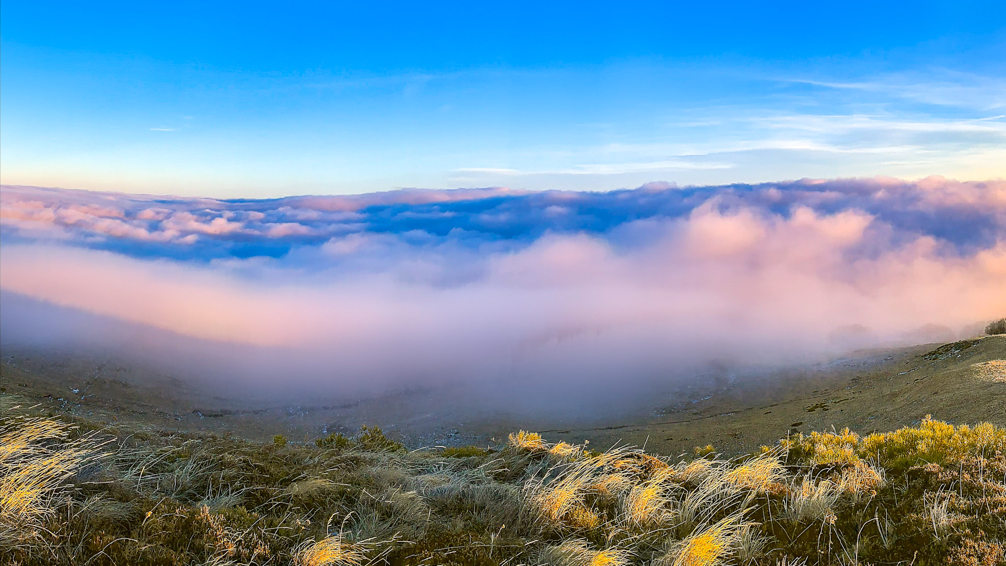 Mer de Nuages dans le Massif du Sancy