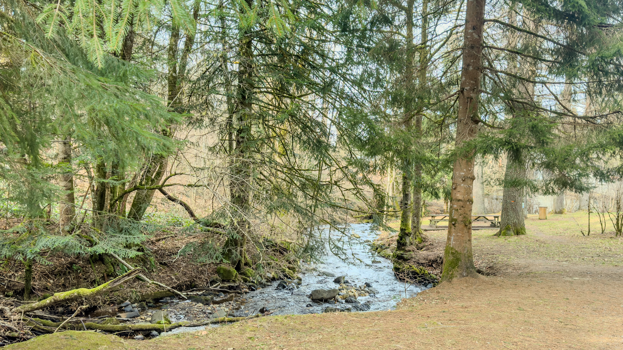 Ruisseau du Vendeix, affluent de la Dordogne à la Bourboule